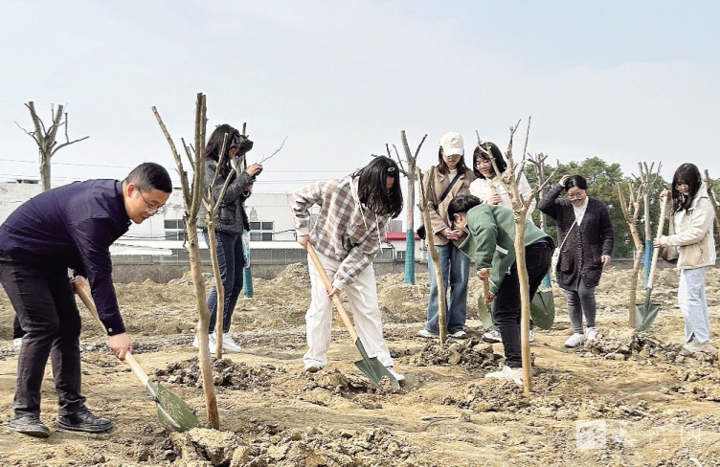 企地共建植青绿